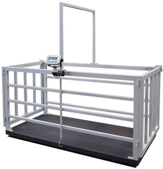 EKO 1500 Kg. 100x200 Canlı Hayvan Baskülü