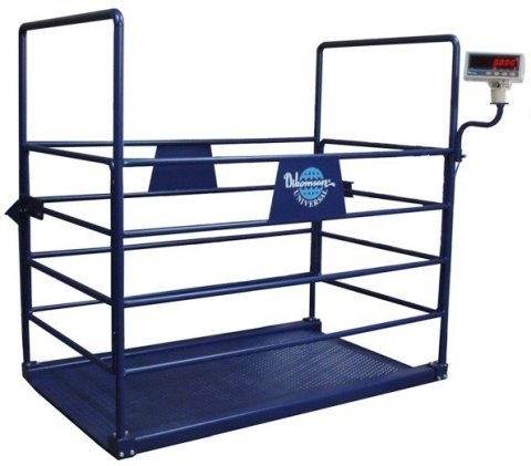 HCT 1500 Kg. 100x200 Büyükbaş Hayvan Baskülü